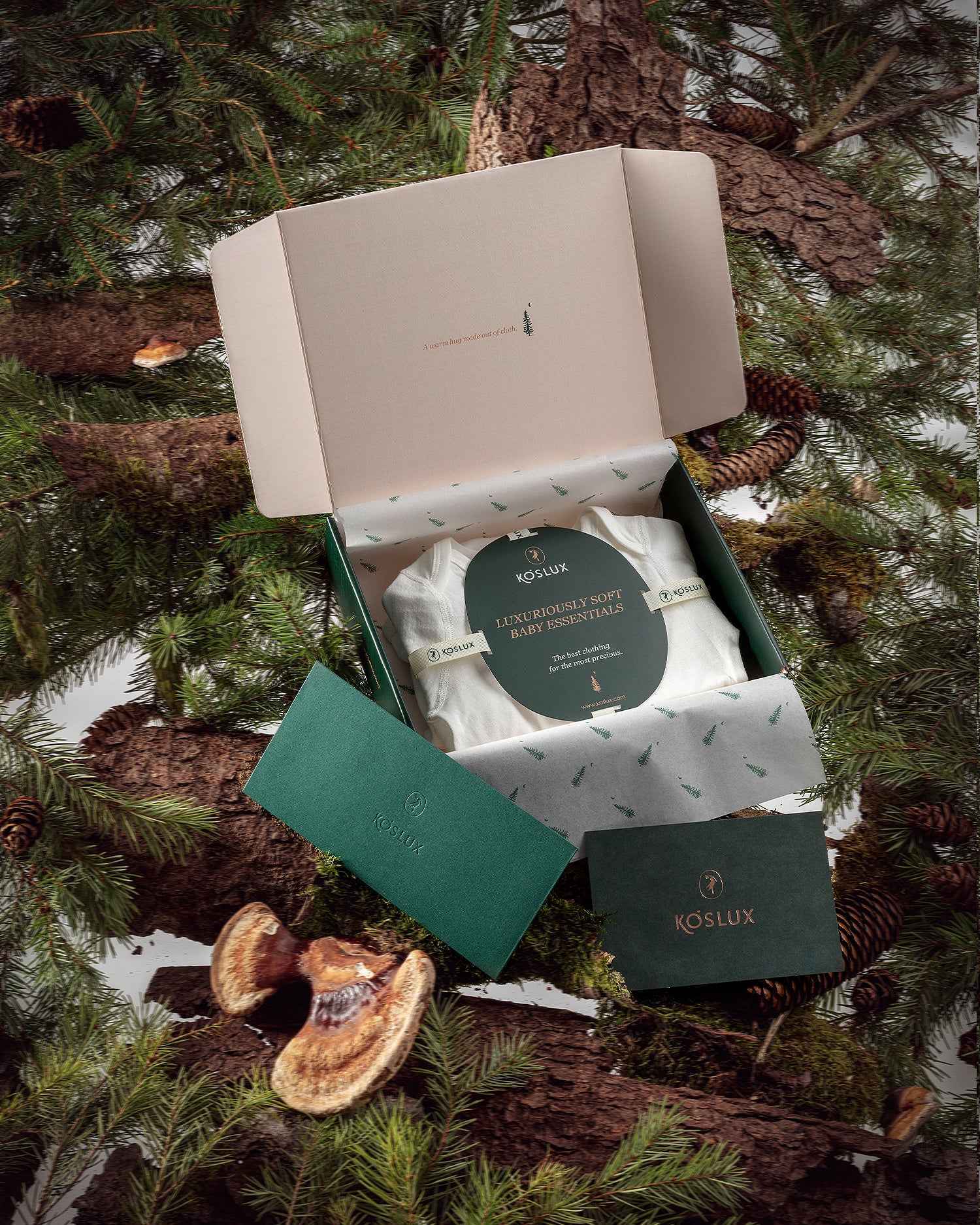 Baby Bodysuit Short Sleeve